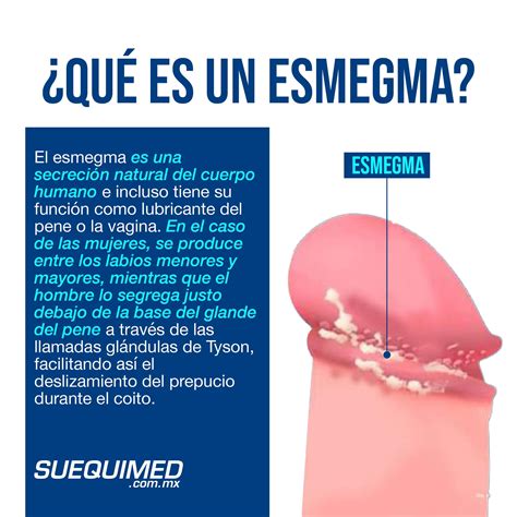 esmegma es malo|Esmegma: qué es, por qué aparece y cómo eliminarlo。